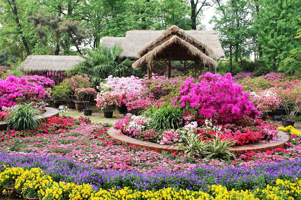 Сад скромного чиновника в Сучжоу