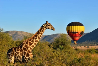 Национальный парк Пиланесберг в ЮАР