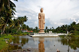 Туры на Шри Ланку в октябре 2024