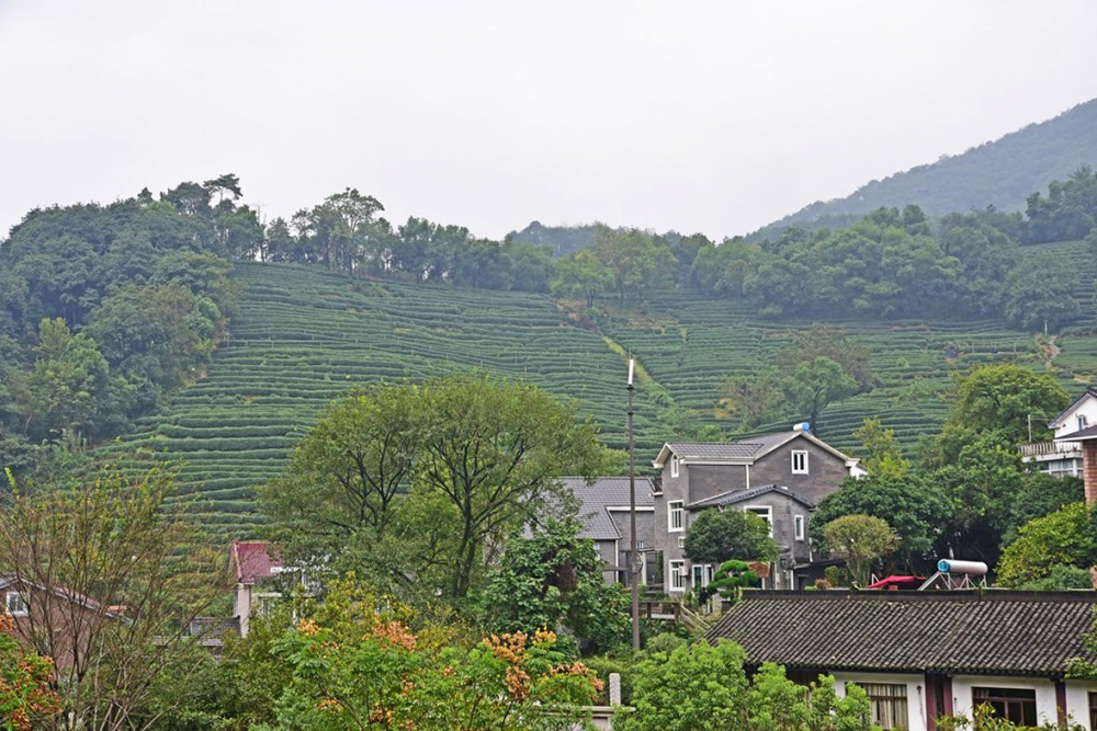 Деревня Лун Цзин в Ханчжоу