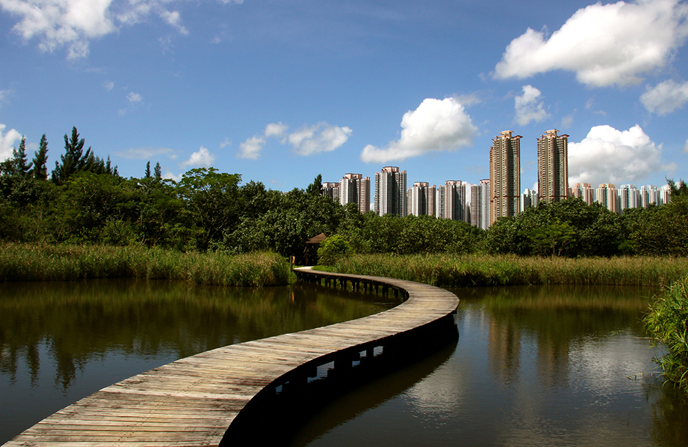 Гонконгский парк водно-болотных угодий