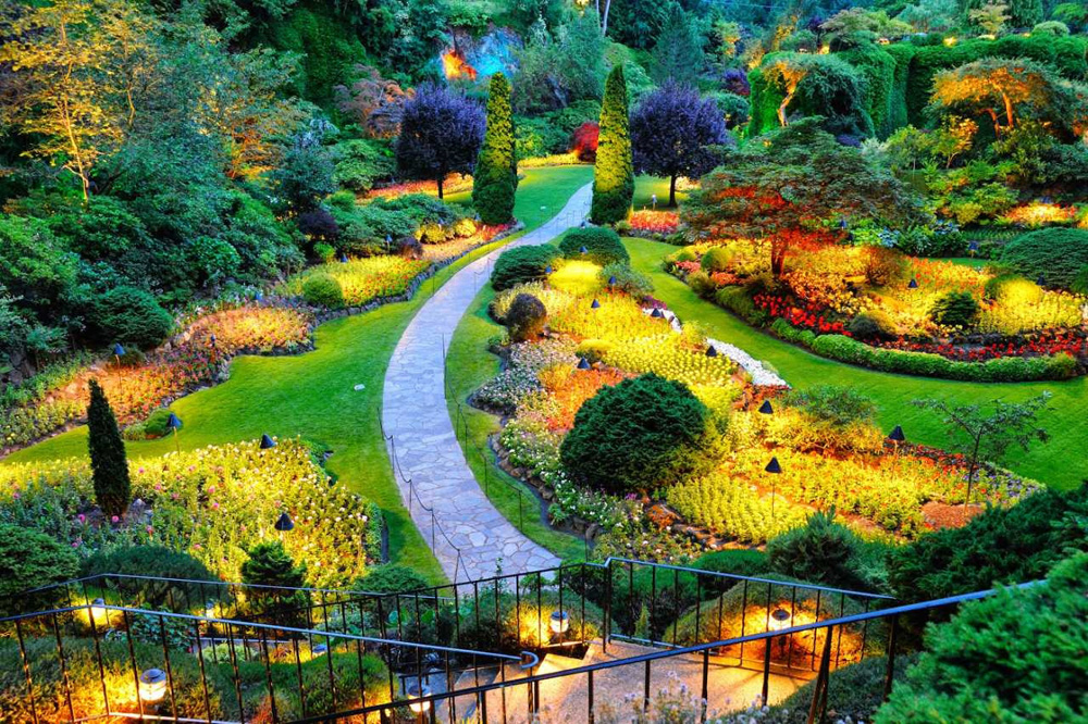 Перадения королевский ботанический сад на Шри Ланке